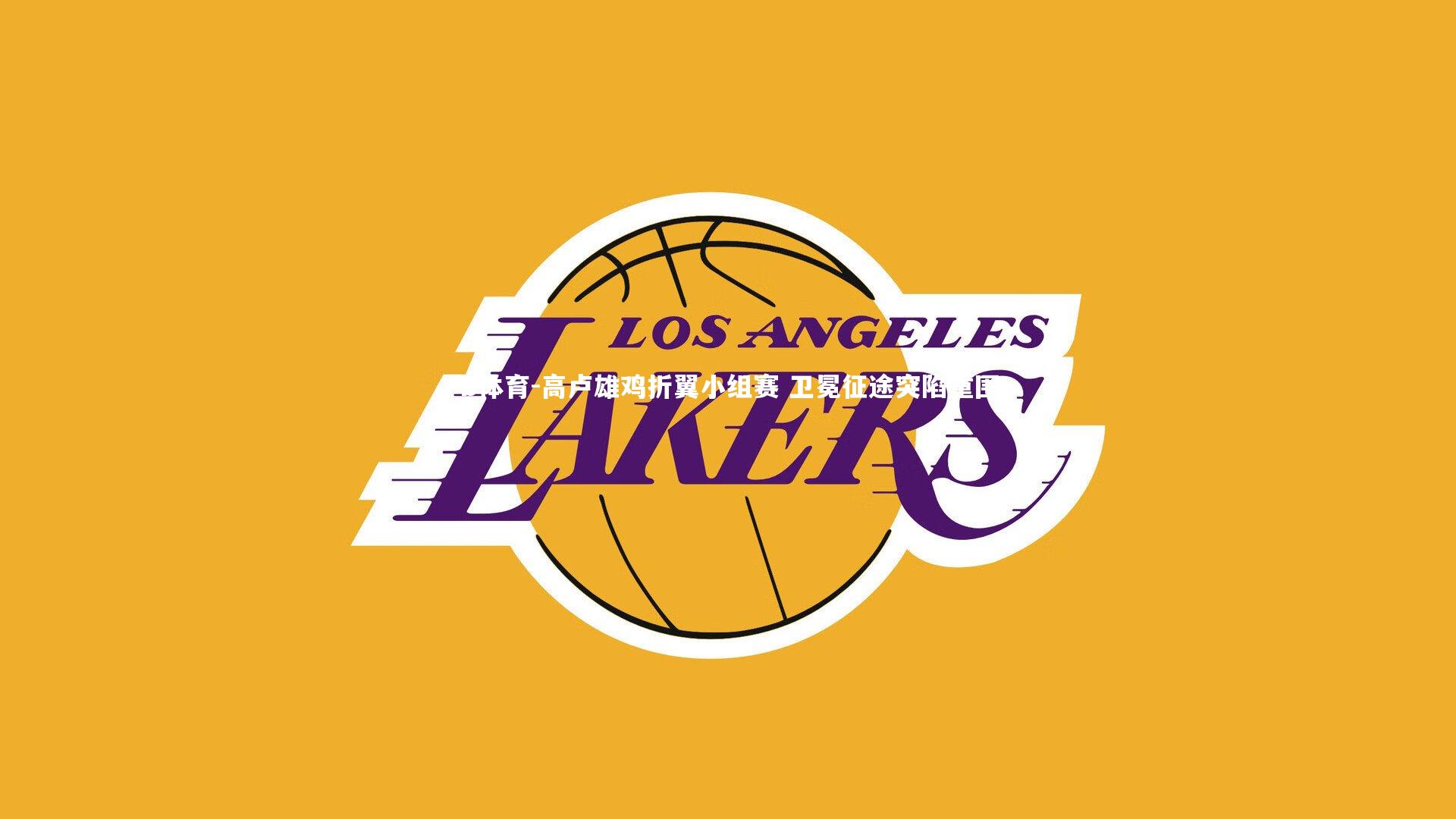 B体育-高卢雄鸡折翼小组赛 卫冕征途突陷重围